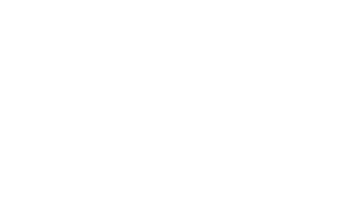 BBi-wht-logo